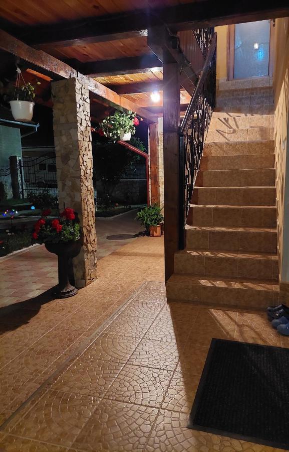 Hotel Casa Cristina Cîrţişoara Exterior foto
