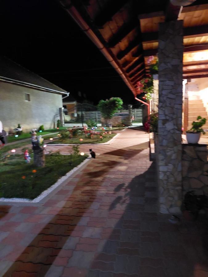 Hotel Casa Cristina Cîrţişoara Exterior foto