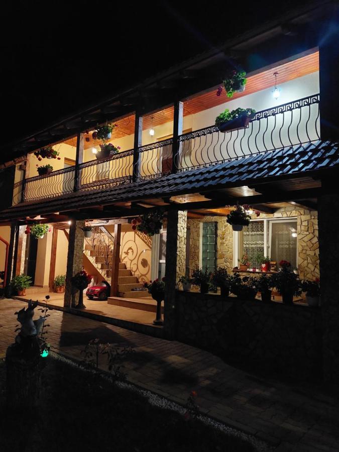 Hotel Casa Cristina Cîrţişoara Exterior foto