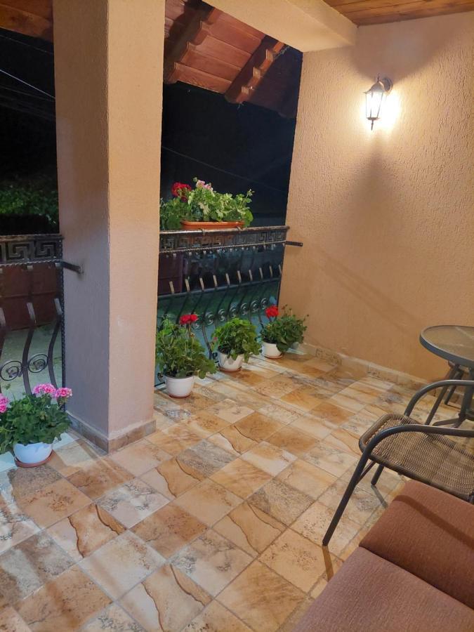 Hotel Casa Cristina Cîrţişoara Exterior foto