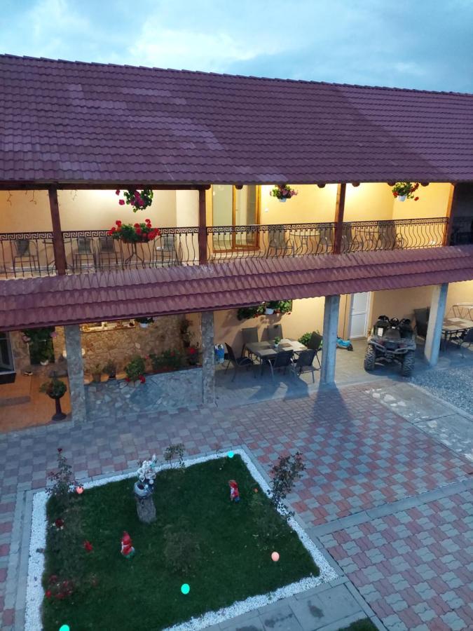 Hotel Casa Cristina Cîrţişoara Exterior foto