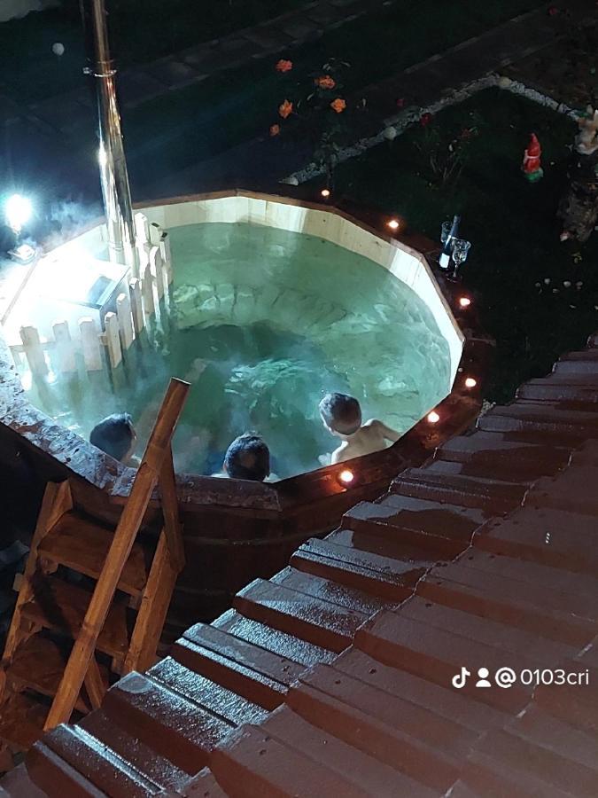 Hotel Casa Cristina Cîrţişoara Exterior foto