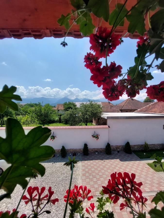 Hotel Casa Cristina Cîrţişoara Exterior foto
