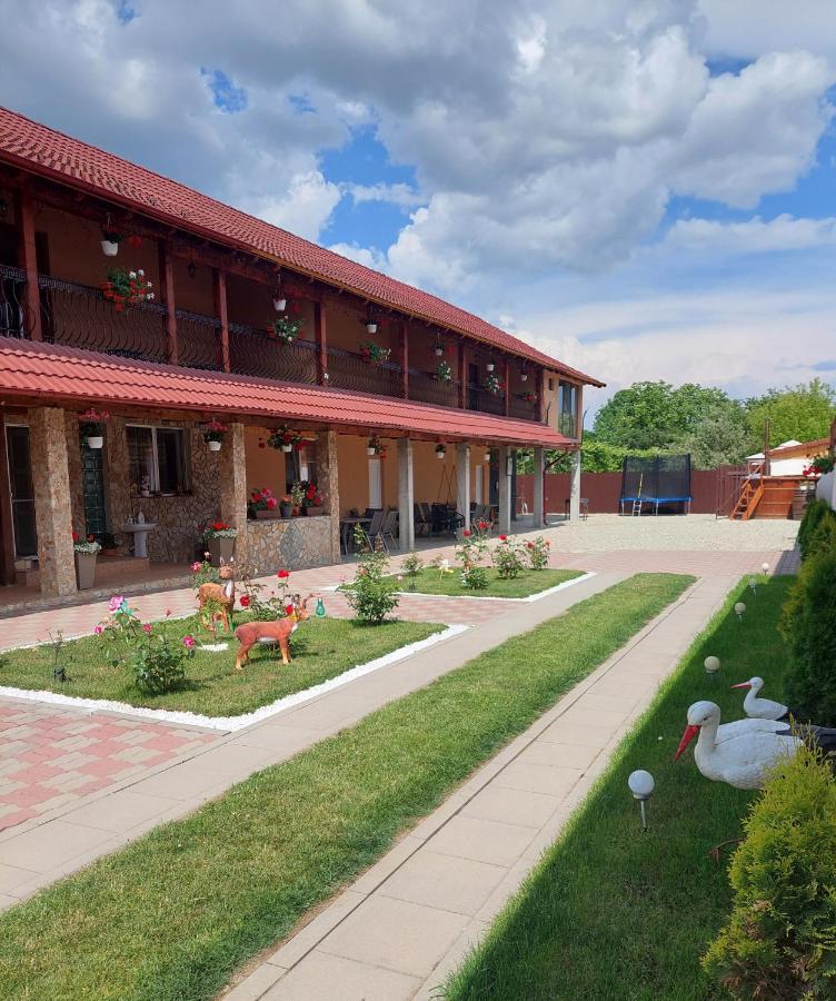 Hotel Casa Cristina Cîrţişoara Exterior foto