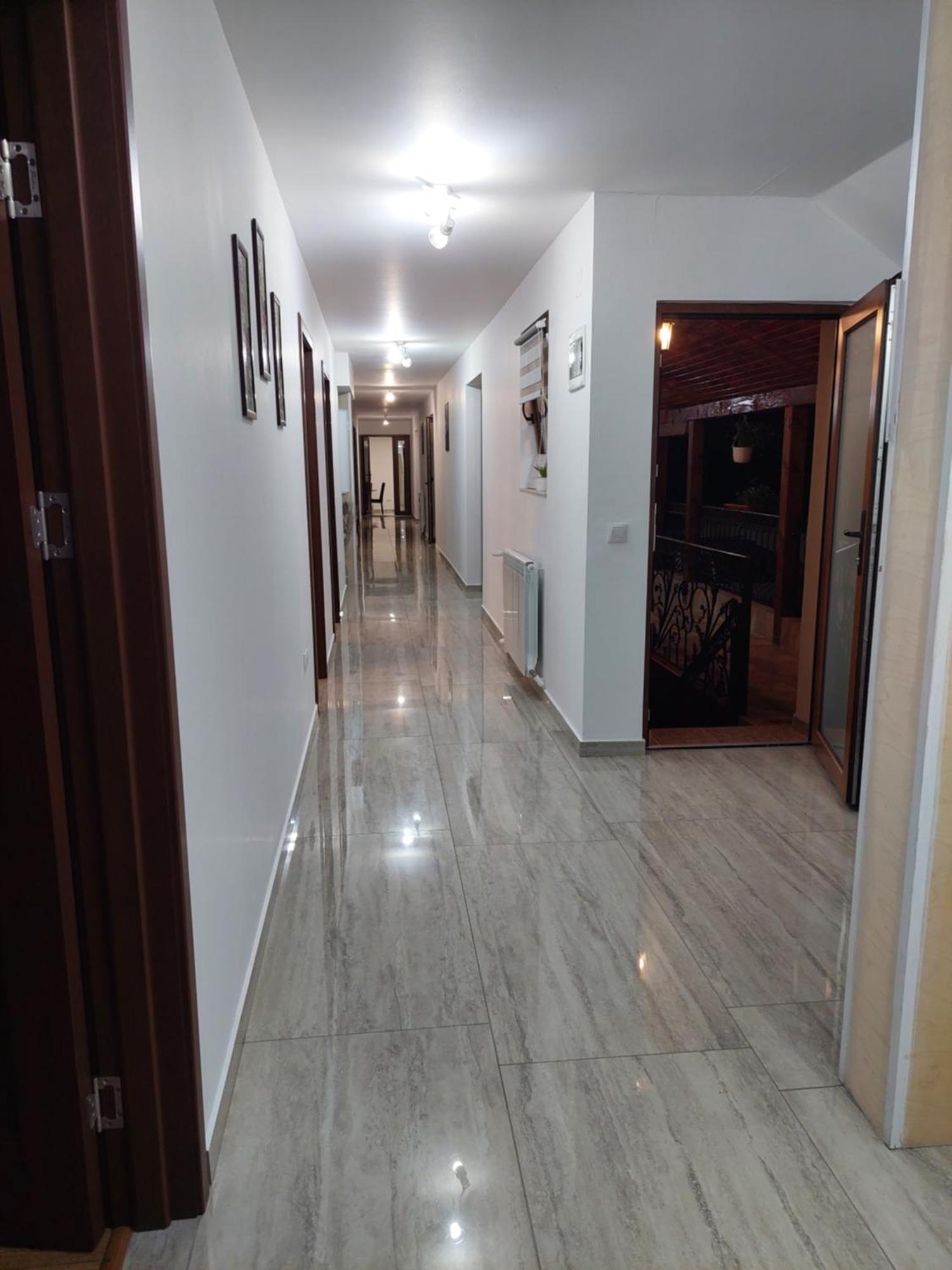 Hotel Casa Cristina Cîrţişoara Exterior foto